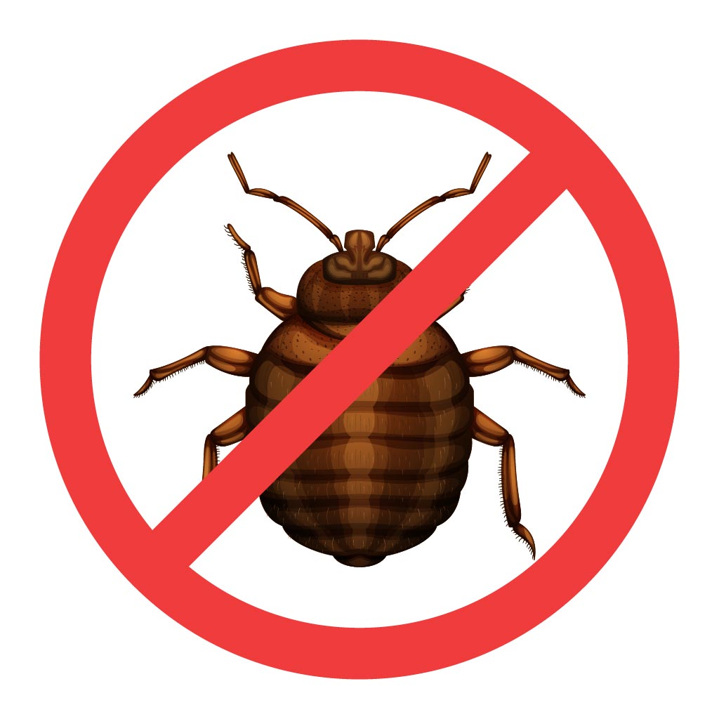 Book Bedbugs Control Service Online | Construction Cleaning and Services | Qetaat.com